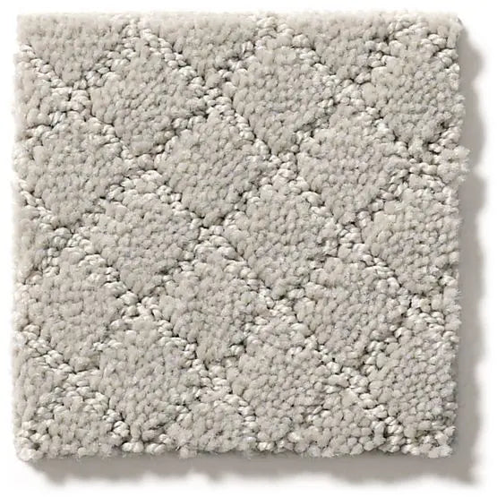 Pet Perfect - Pawnache - Carpet Anderson Tuftex