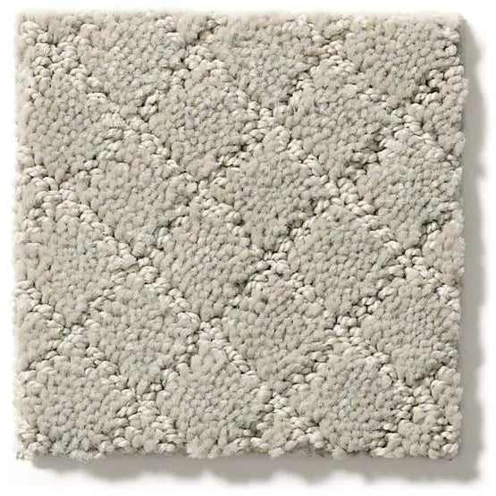 Pet Perfect - Pawnache - Carpet Anderson Tuftex