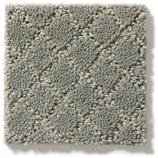 Pet Perfect - Pawnache - Carpet Anderson Tuftex