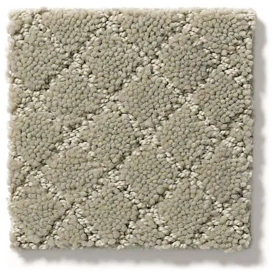 Pet Perfect - Pawnache - Carpet Anderson Tuftex