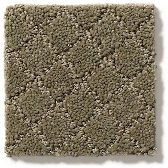 Pet Perfect - Pawnache - Carpet Anderson Tuftex