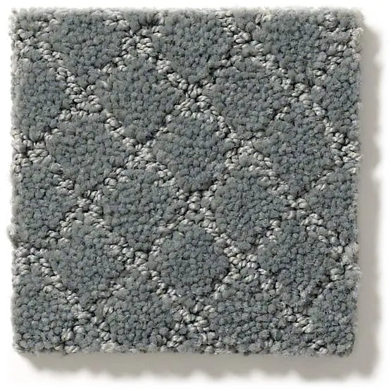 Pet Perfect - Pawnache - Carpet Anderson Tuftex