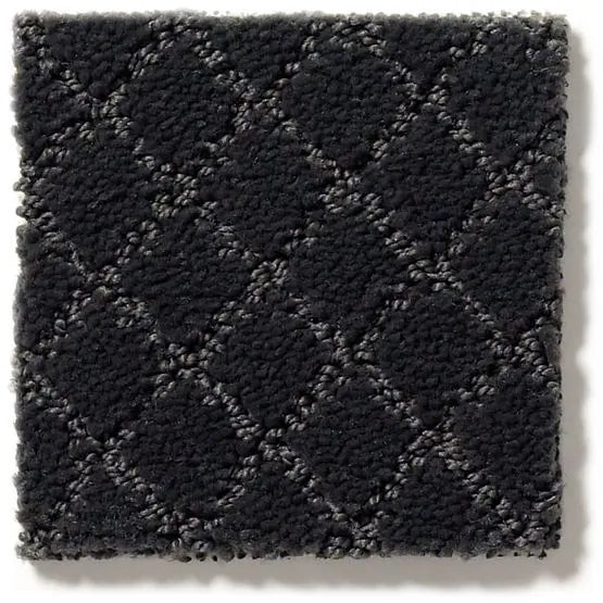 Pet Perfect - Pawnache - Carpet Anderson Tuftex