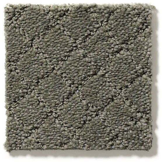 Pet Perfect - Pawnache - Carpet Anderson Tuftex