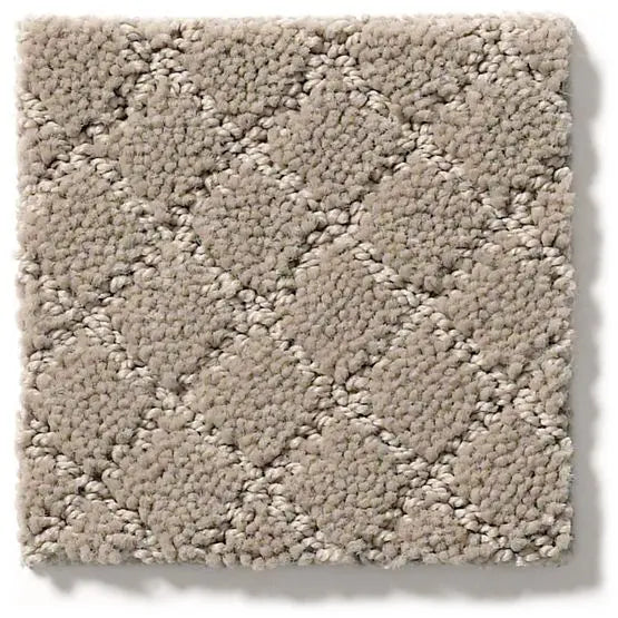 Pet Perfect - Pawnache - Carpet Anderson Tuftex