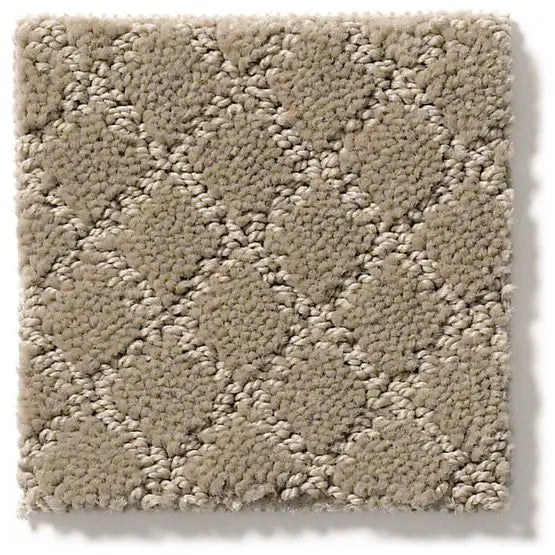 Pet Perfect - Pawnache - Carpet Anderson Tuftex