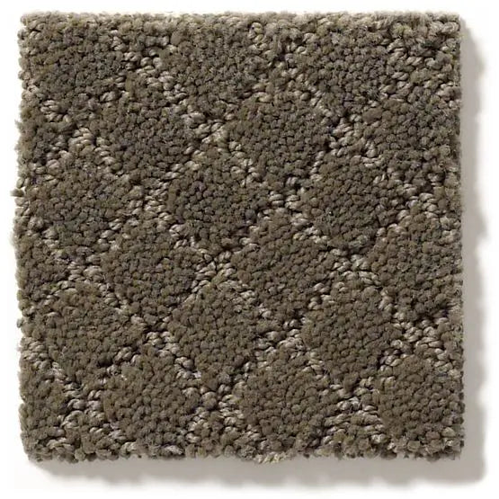 Pet Perfect - Pawnache - Carpet Anderson Tuftex