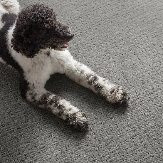 Pet Perfect - Purrsuasion - Carpet Anderson Tuftex