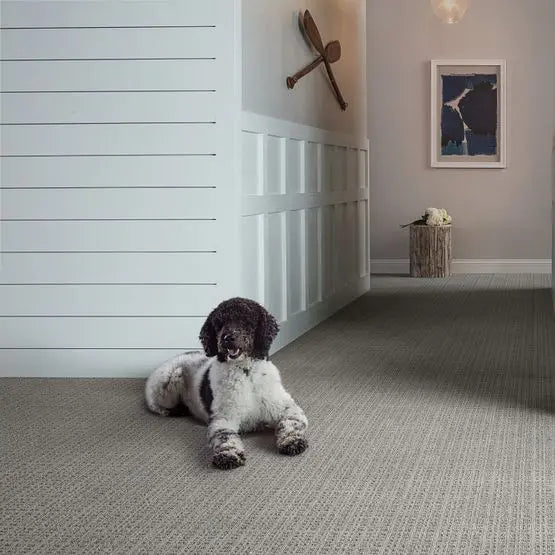 Pet Perfect - Purrsuasion - Carpet Anderson Tuftex