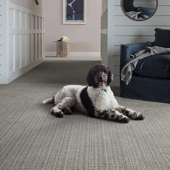 Pet Perfect - Purrsuasion - Carpet