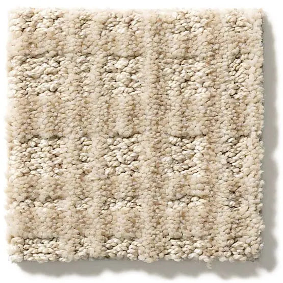 Pet Perfect - Purrsuasion - Carpet Anderson Tuftex