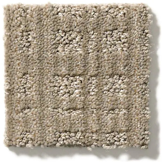 Pet Perfect - Purrsuasion - Carpet Anderson Tuftex