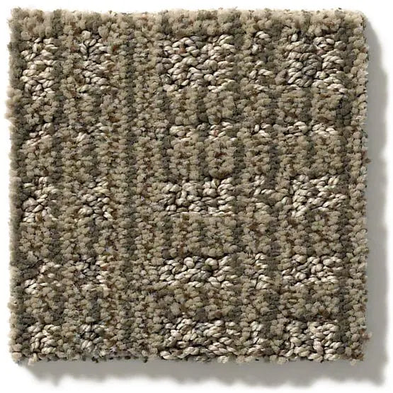 Pet Perfect - Purrsuasion - Carpet Anderson Tuftex