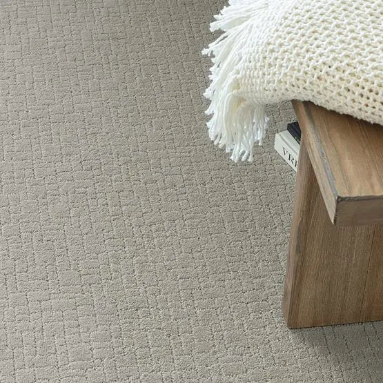 Pet Perfect - Faux Paw - Carpet Anderson Tuftex