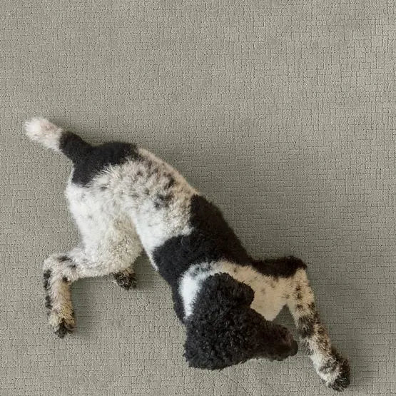 Pet Perfect - Faux Paw - Carpet Anderson Tuftex