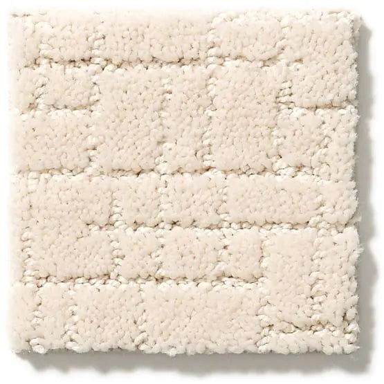 Pet Perfect - Faux Paw - Carpet Anderson Tuftex