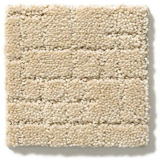 Pet Perfect - Faux Paw - Carpet Anderson Tuftex