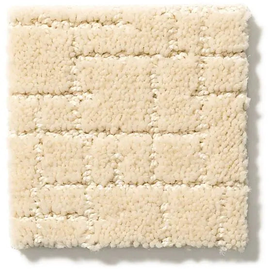 Pet Perfect - Faux Paw - Carpet Anderson Tuftex