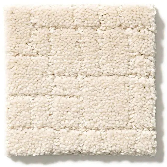 Pet Perfect - Faux Paw - Carpet Anderson Tuftex