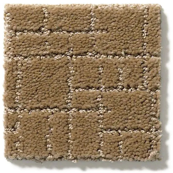 Pet Perfect - Faux Paw - Carpet Anderson Tuftex