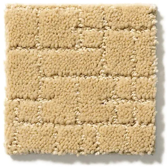 Pet Perfect - Faux Paw - Carpet Anderson Tuftex