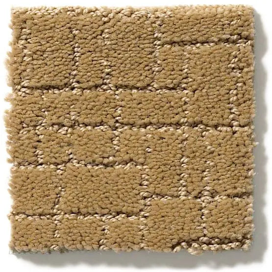 Pet Perfect - Faux Paw - Carpet Anderson Tuftex