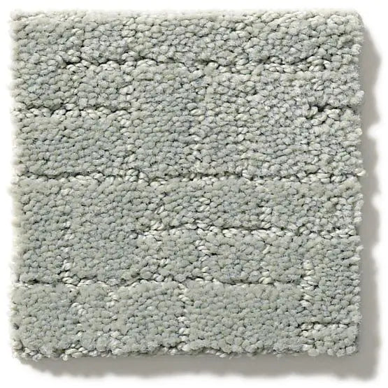 Pet Perfect - Faux Paw - Carpet Anderson Tuftex