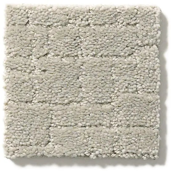 Pet Perfect - Faux Paw - Carpet Anderson Tuftex