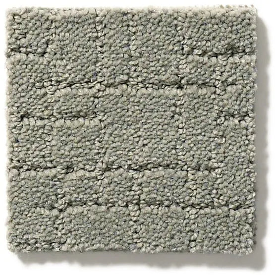 Pet Perfect - Faux Paw - Carpet Anderson Tuftex