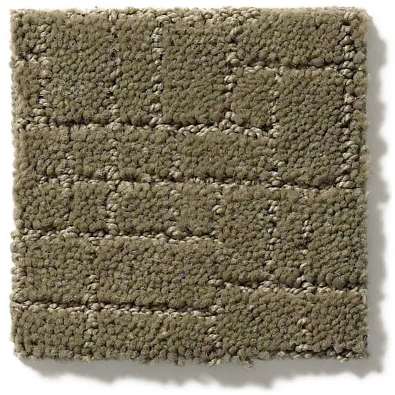 Pet Perfect - Faux Paw - Carpet Anderson Tuftex