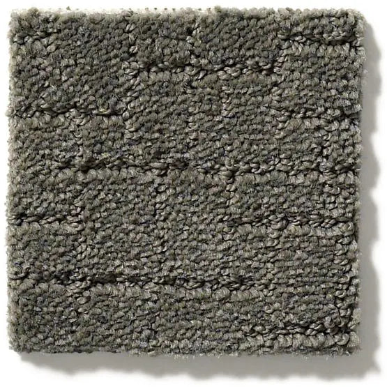 Pet Perfect - Faux Paw - Carpet Anderson Tuftex