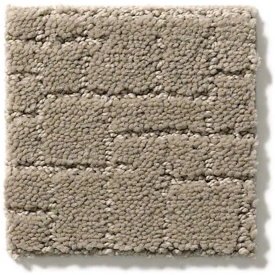 Pet Perfect - Faux Paw - Carpet Anderson Tuftex