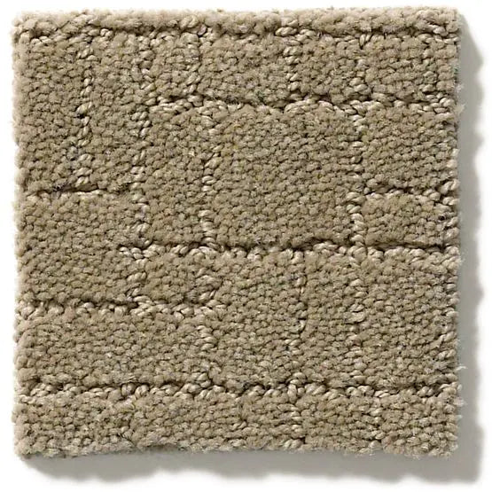 Pet Perfect - Faux Paw - Carpet Anderson Tuftex