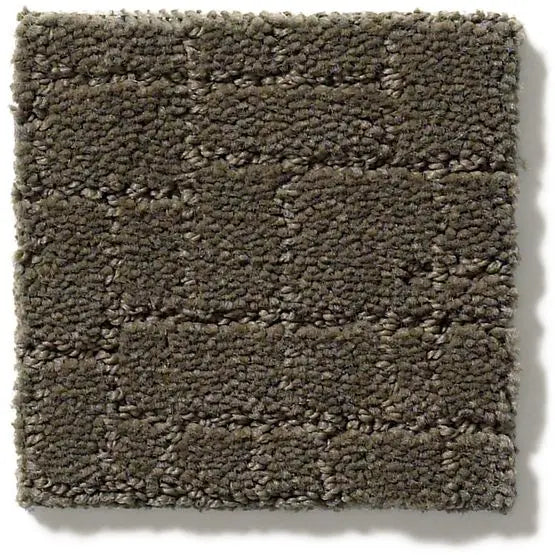 Pet Perfect - Faux Paw - Carpet Anderson Tuftex