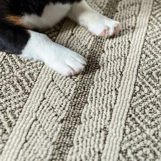Pet Perfect - Speak - Carpet Anderson Tuftex