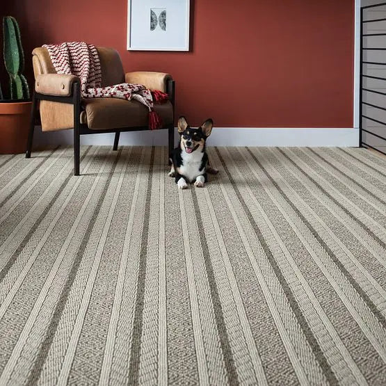 Pet Perfect - Speak - Carpet Anderson Tuftex