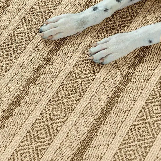 Pet Perfect - Speak - Carpet Anderson Tuftex