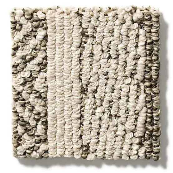 Pet Perfect - Speak - Carpet Anderson Tuftex