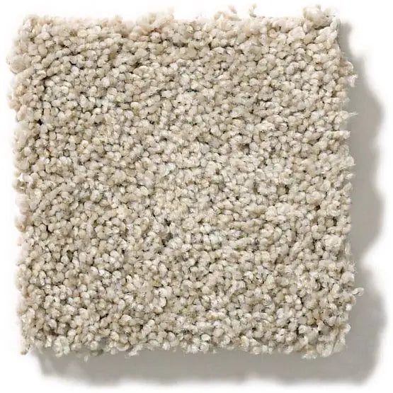 Pet Perfect - The Bark Side I - Carpet Anderson Tuftex