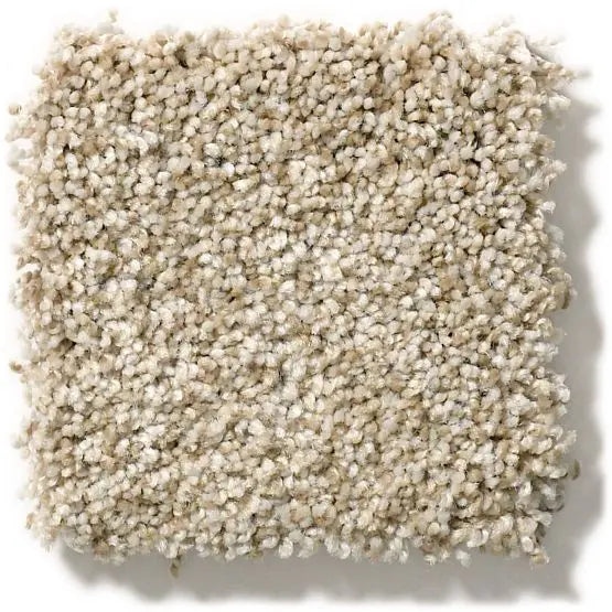 Pet Perfect - The Bark Side I - Carpet Anderson Tuftex