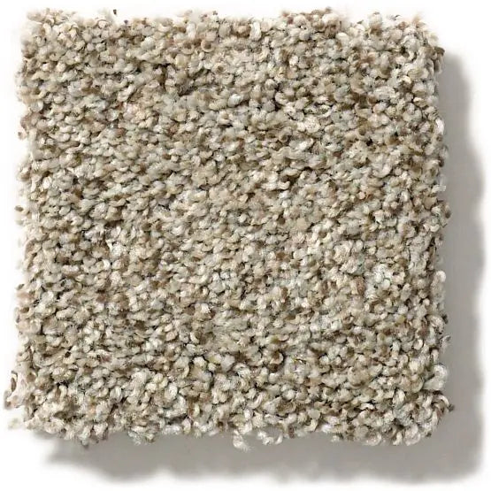 Pet Perfect - The Bark Side I - Carpet Anderson Tuftex