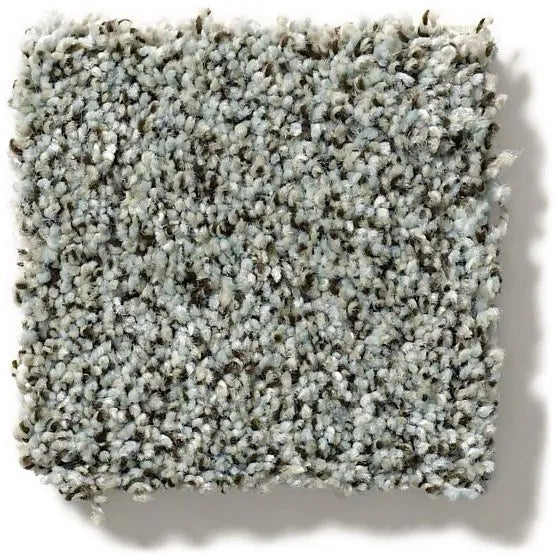 Pet Perfect - The Bark Side I - Carpet Anderson Tuftex