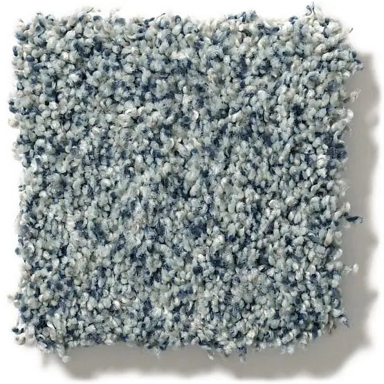 Pet Perfect - The Bark Side I - Carpet Anderson Tuftex