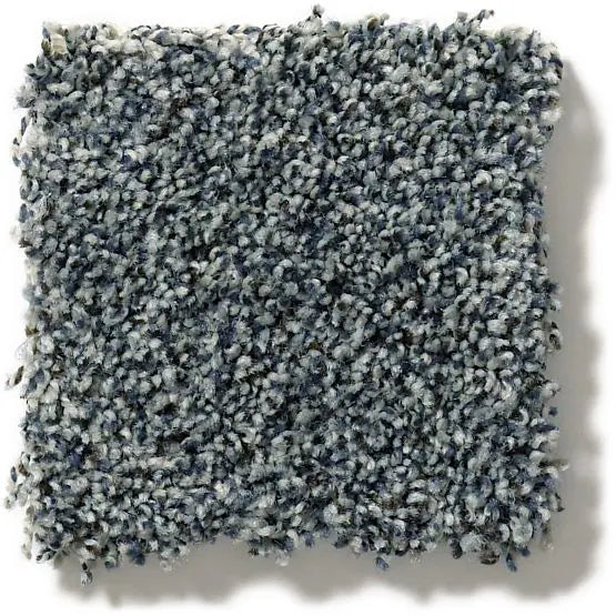 Pet Perfect - The Bark Side I - Carpet Anderson Tuftex