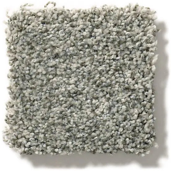 Pet Perfect - The Bark Side I - Carpet Anderson Tuftex