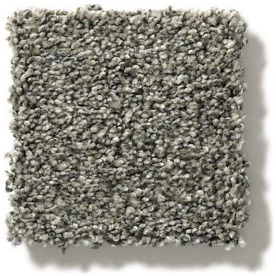 Pet Perfect - The Bark Side I - Carpet Anderson Tuftex