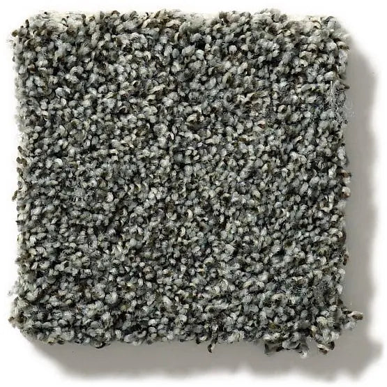 Pet Perfect - The Bark Side I - Carpet Anderson Tuftex