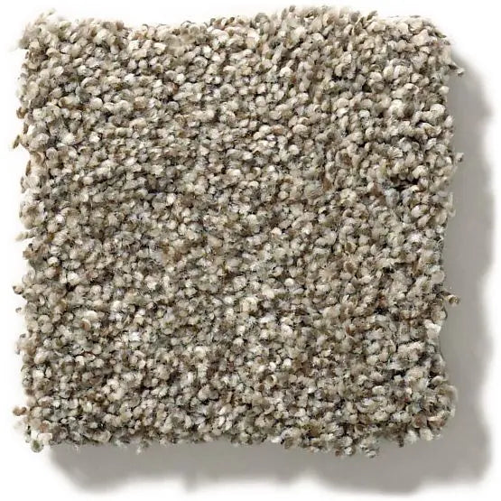 Pet Perfect - The Bark Side I - Carpet Anderson Tuftex