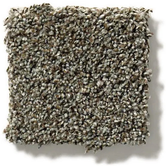 Pet Perfect - The Bark Side I - Carpet Anderson Tuftex