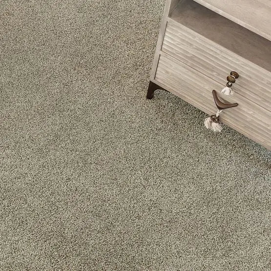 Pet Perfect - The Bark Side II - Carpet Anderson Tuftex
